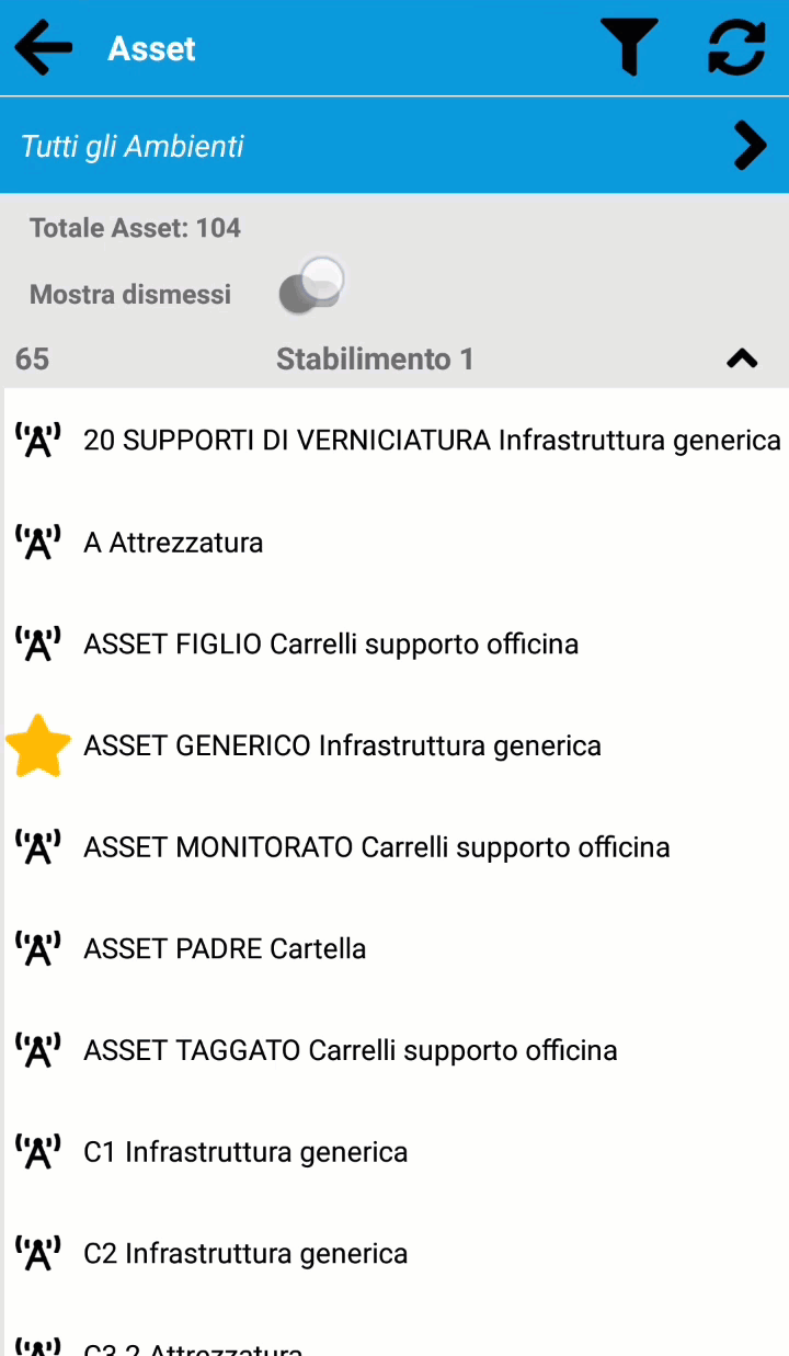 Asset – Mostra i dismessi